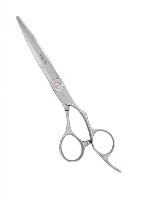 Professional Salon Hair Cutting Scissors Guide